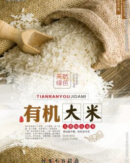 Rice Noodle 米 面