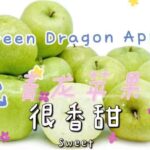 GREEN Dragon Apple
青龙苹果