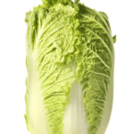 Chinese Cabbage 
大白菜