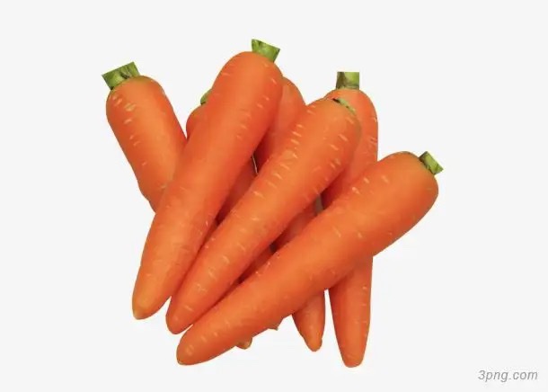 Carrot 
胡萝卜