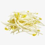 Yellow Bean Sprout 
黄豆芽